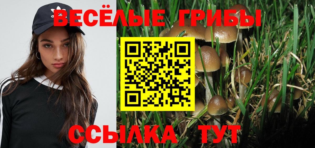 Псилоцибиновые грибы Magic Shrooms Ачинск